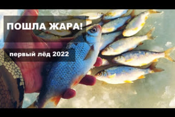Сайт кракен рабочая ссылка