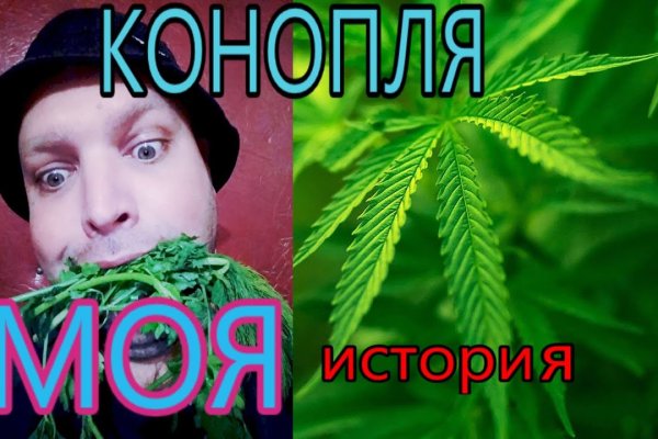 Кракен сайт бошки