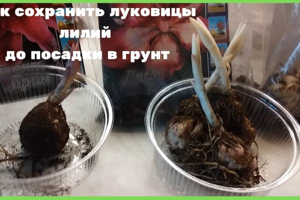 Кракен наркоман