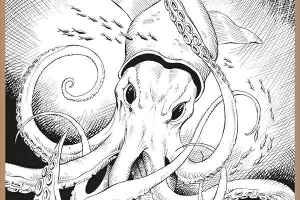 Kraken 14at