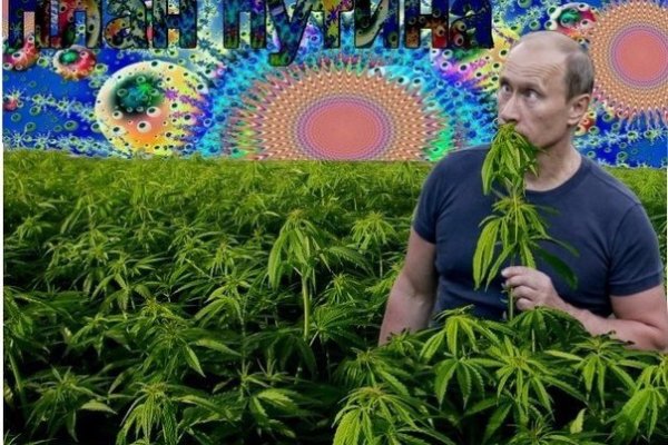 Kraken ссылка актуальная москва