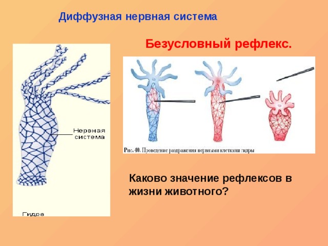 Кракен купить гашиш