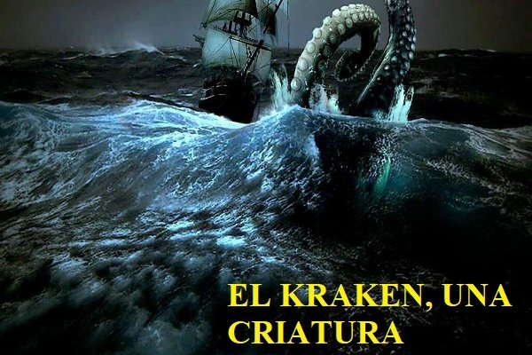Kraken 24 at