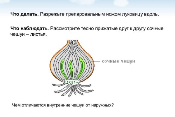 Кракен официальная ссылка kraken torion