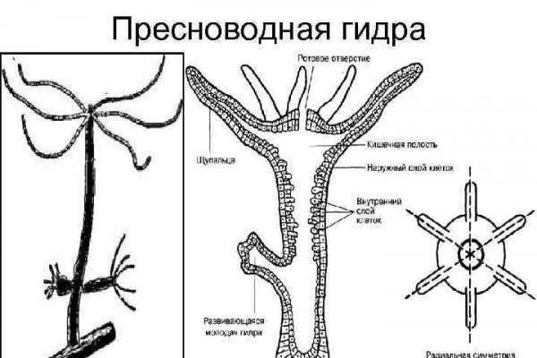 Кракен лого маркетплейс