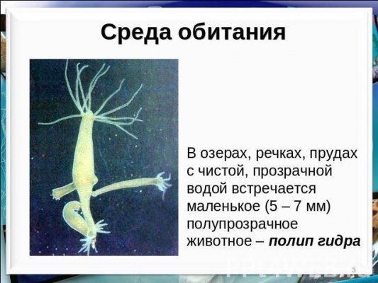 Kraken официальный сайт вход