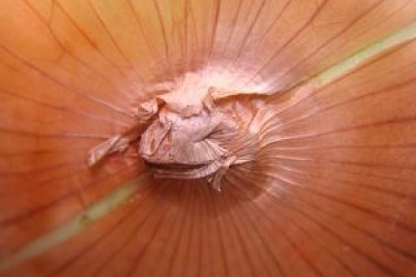 Kraken рабочая ссылка onion